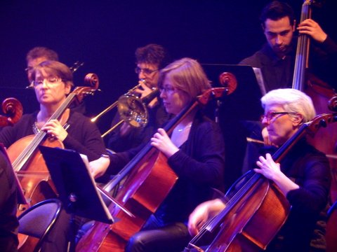 Concert Rêve de Valses  Hesdin l'Abbé 14 fevrier 2015 (16)